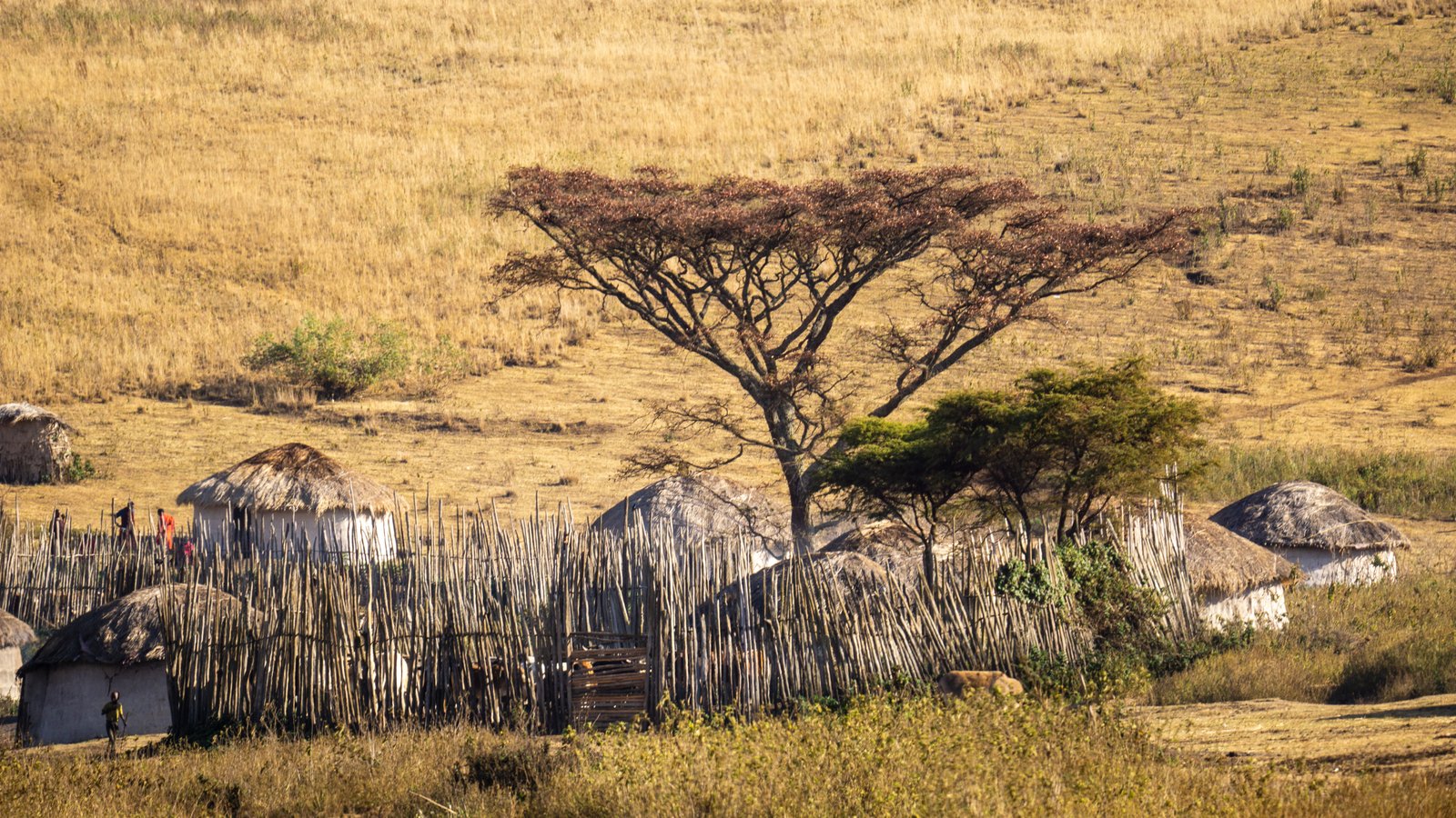 After the Maasai Mara: Where to Travel Next in East Africa