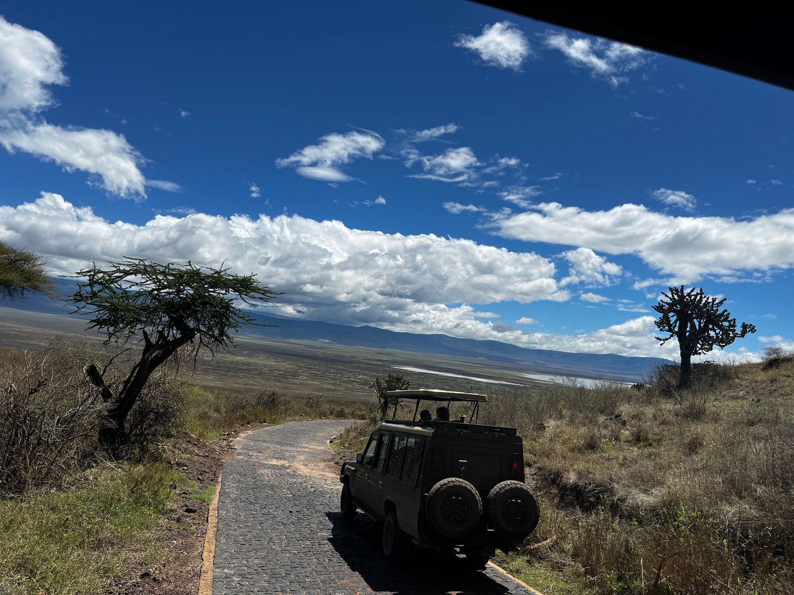 Is a 3-Day Tanzania Safari Worth It? Routes, Costs and What You Can See