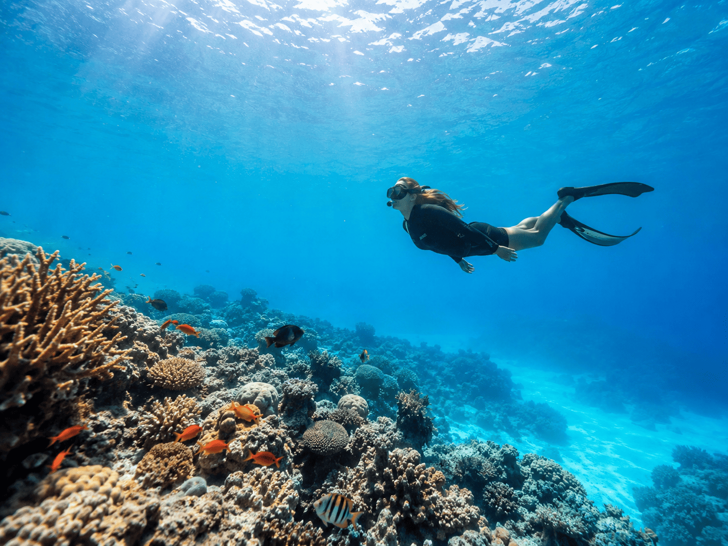 Zanzibar: The Indian Ocean Island That Feels Different From the Rest