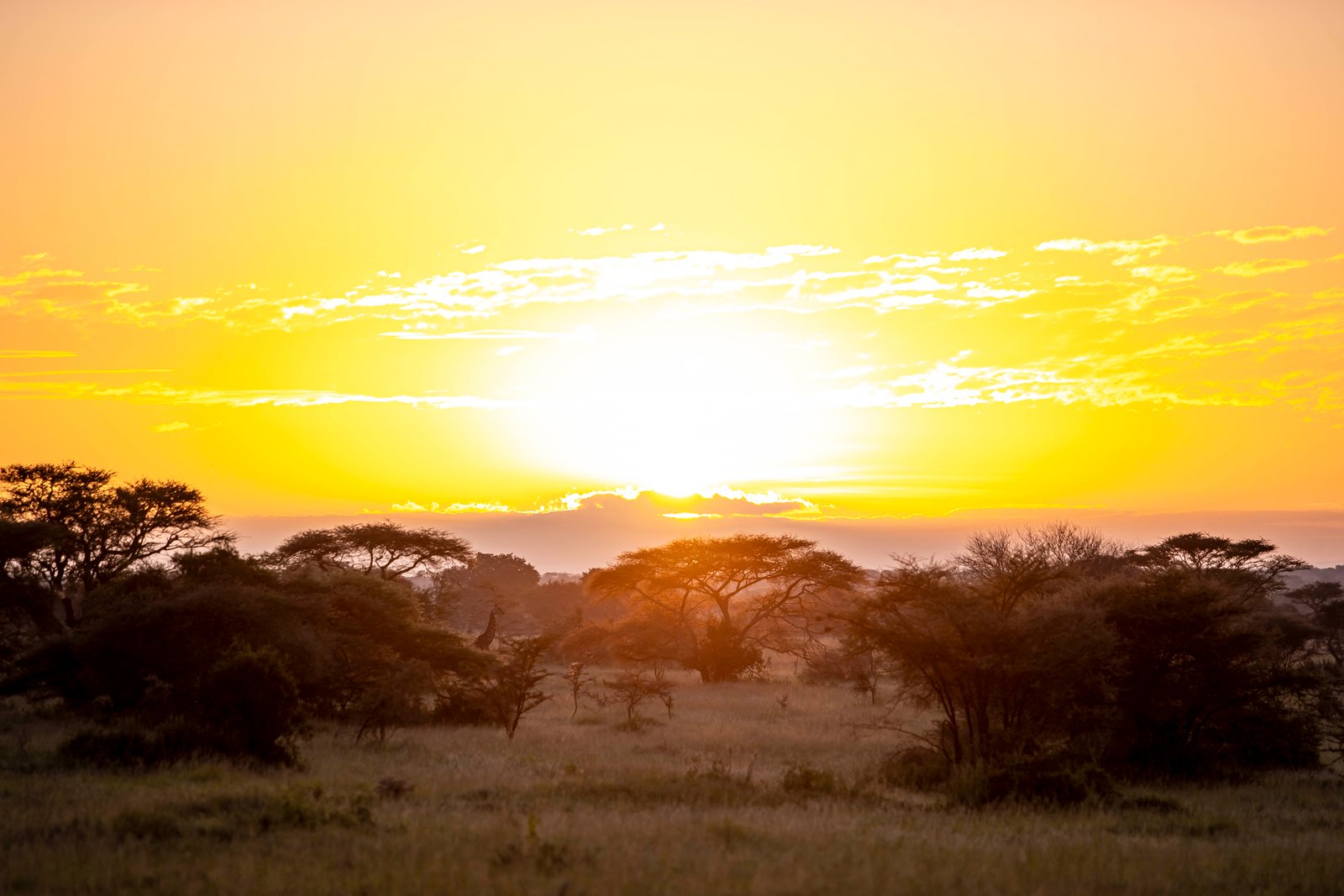 Explore East Africa