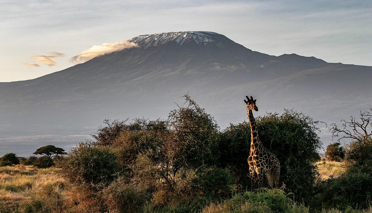 Mount Kilimanjaro