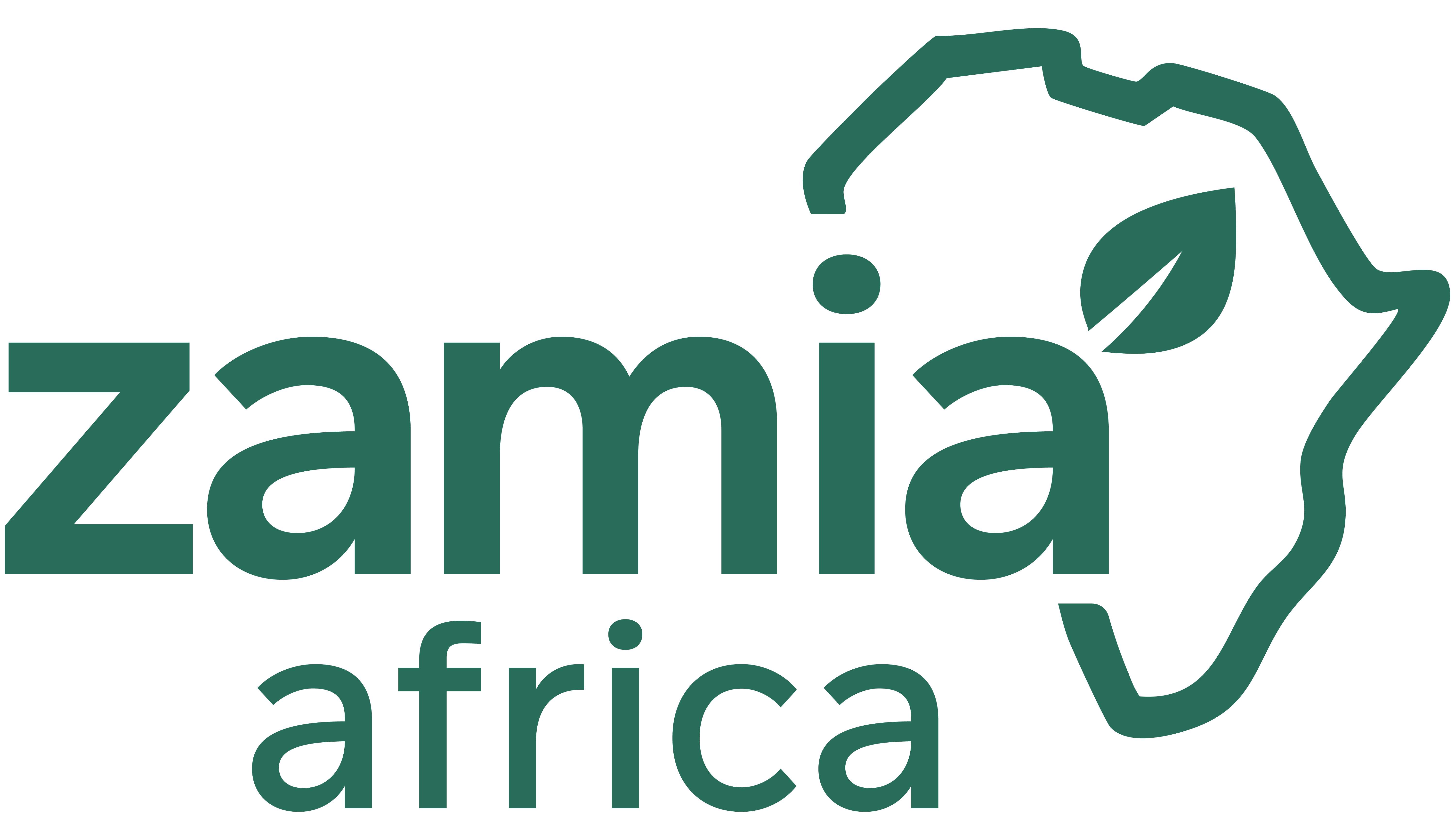 Zamia Africa